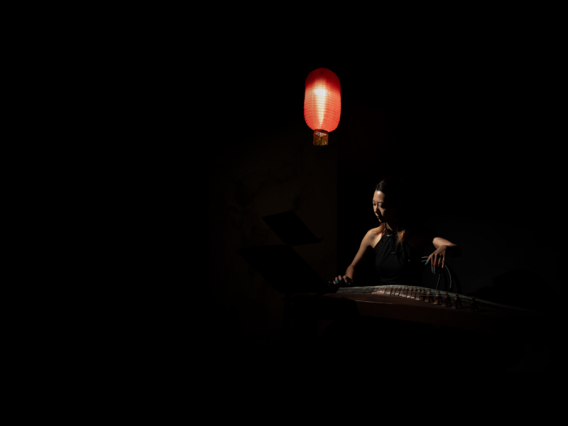le-roi-des-singes-ran-wang-2024