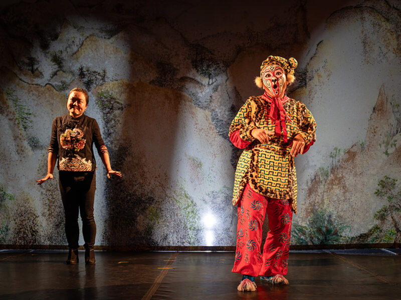 roi-singe-1-opera