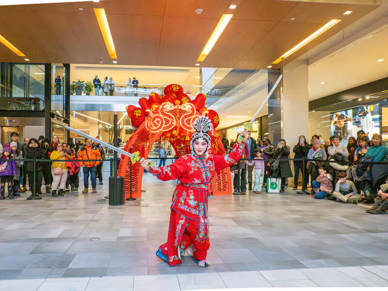 spectacle-quand-la-grace-rencontre-la-puissance-ext